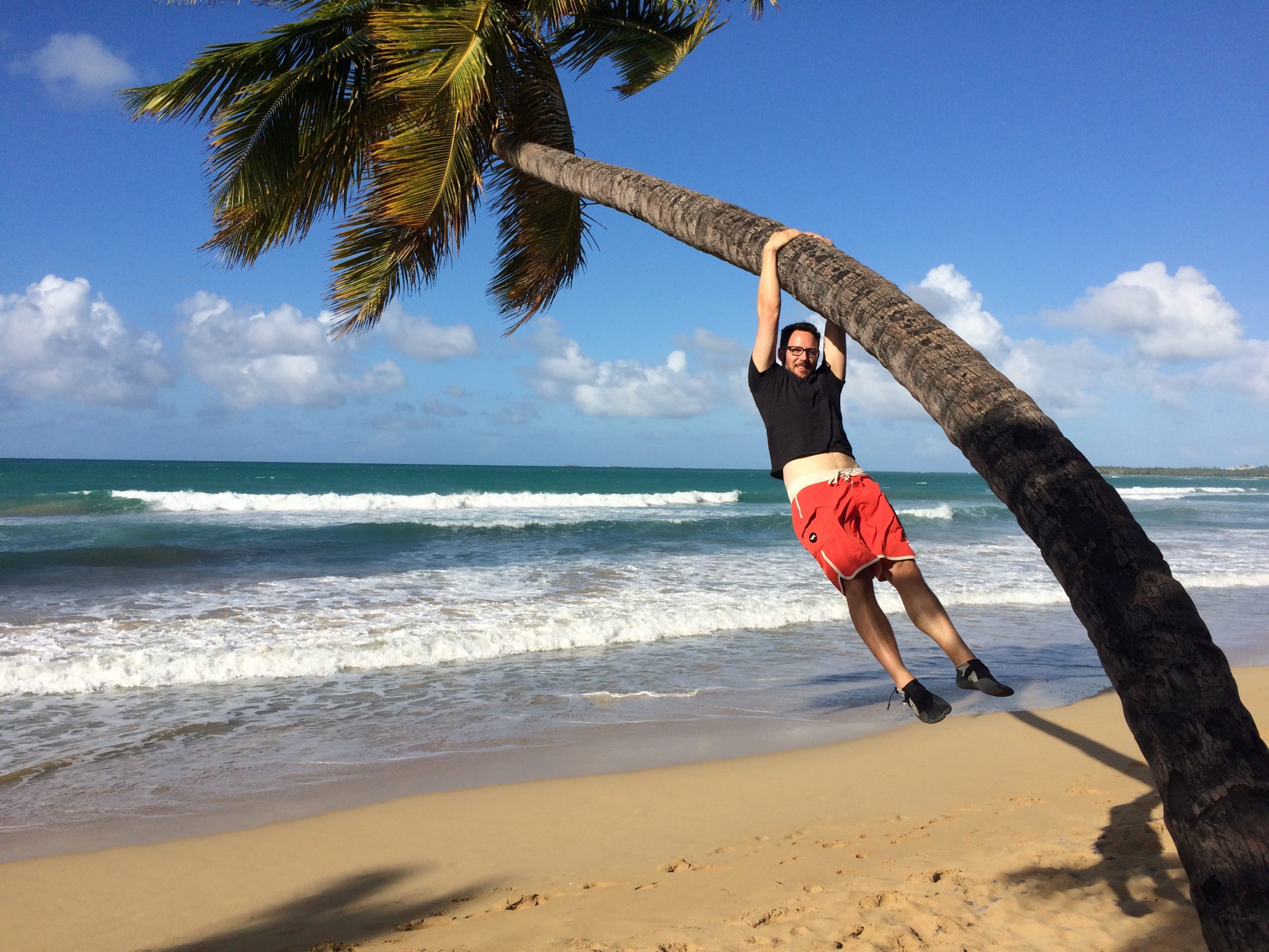 Peter and the Palm Tree