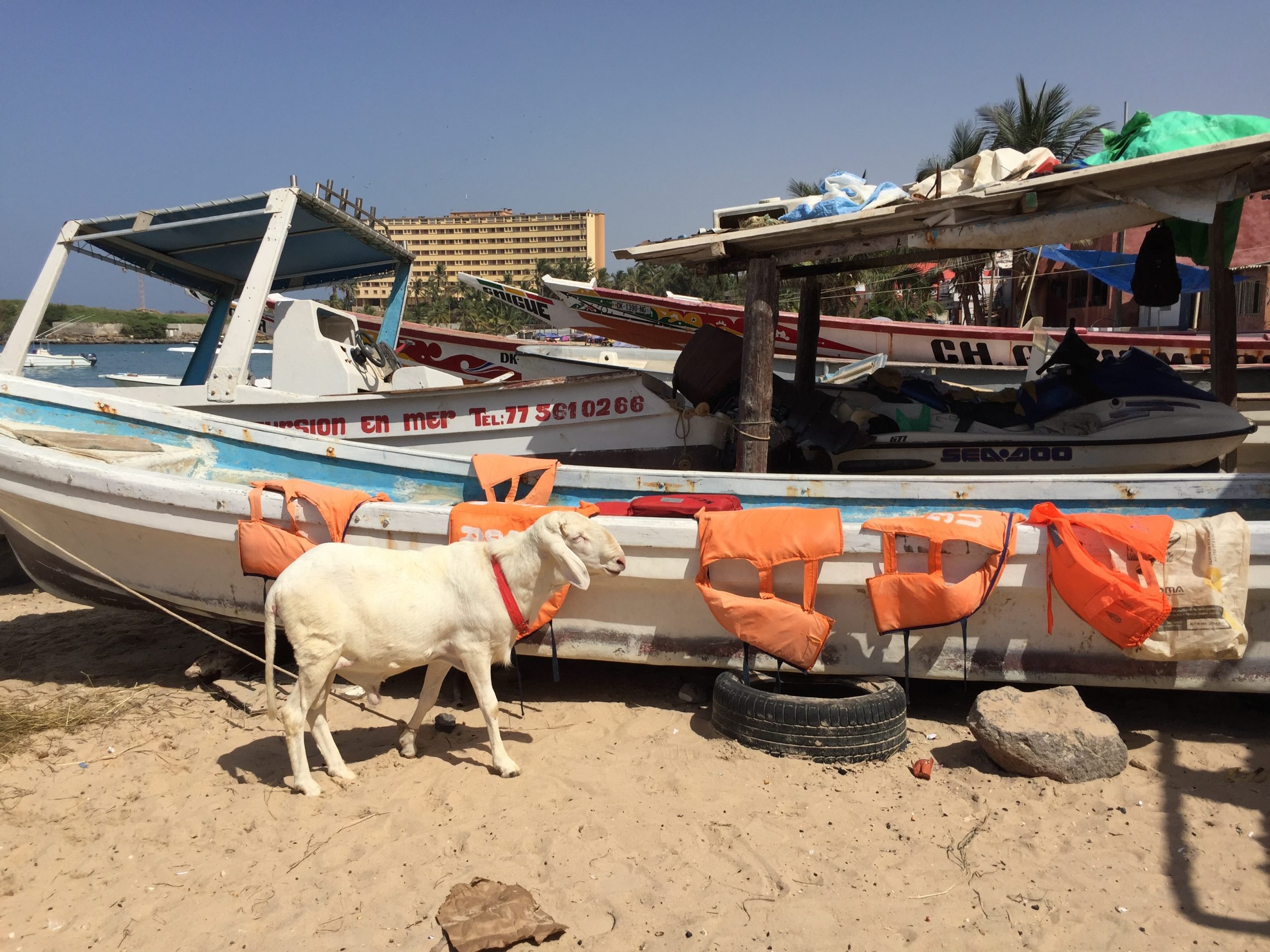 Goat and Boat